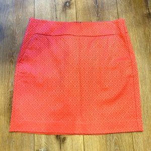 Ann Taylor skirt
